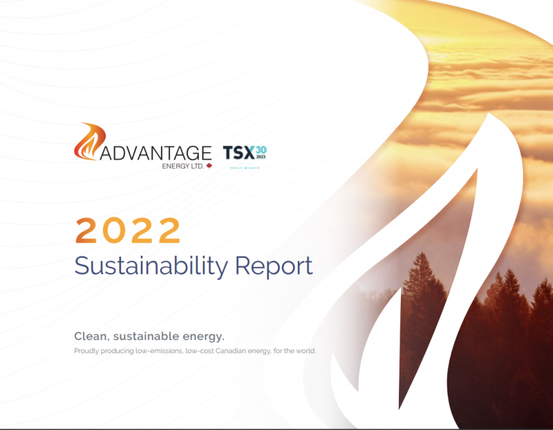 Sustainability advantage energy ltd 